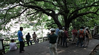 IMG_0703.JPG