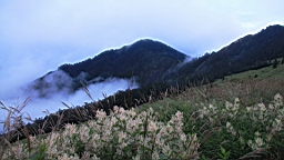 IMG_2064.JPG