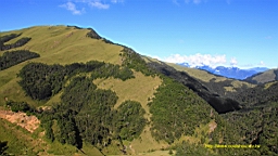 IMG_2078.JPG