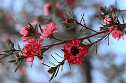 IMG_2166.JPG