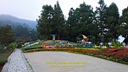 IMG_2169.JPG