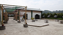 IMG_3664.JPG