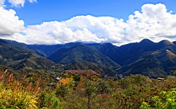 IMG_3953.JPG
