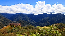 IMG_3959.JPG