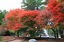 IMG_3983.JPG
