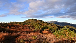 IMG_4016.JPG