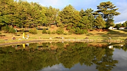 IMG_4024.JPG