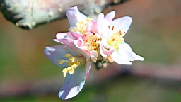 IMG_4084.JPG