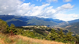 IMG_4113.JPG