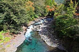 IMG_4175.JPG