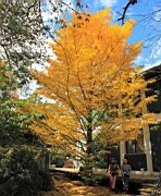 IMG_4178.JPG
