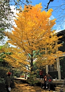 IMG_4180.JPG