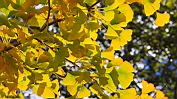 IMG_4193.JPG