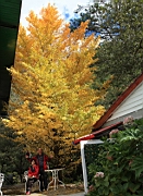 IMG_4199.JPG