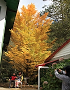 IMG_4200.JPG
