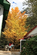 IMG_4202.JPG