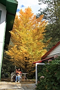 IMG_4203.JPG