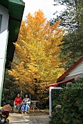IMG_4204.JPG