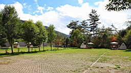 IMG_4227.JPG