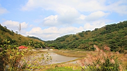 IMG_4689.JPG