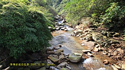 IMG_4694.JPG