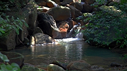 IMG_4695.JPG