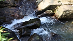 IMG_4696.JPG
