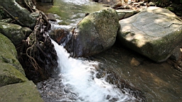 IMG_4698.JPG