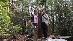 IMG_4942.JPG
