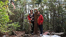 IMG_4943.JPG