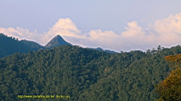 IMG_4958.JPG