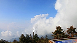 IMG_4977.JPG