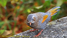 IMG_4988.JPG