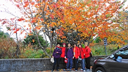 IMG_4992.JPG