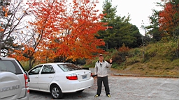 IMG_4993.JPG