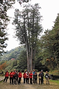 IMG_5000.JPG