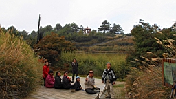 IMG_5008.JPG