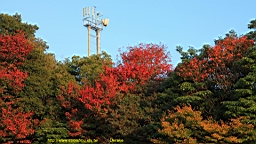 IMG_5040.JPG