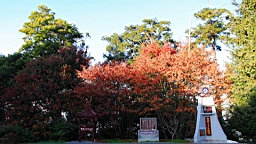 IMG_5079.JPG