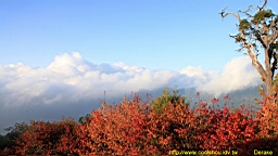 IMG_5080.JPG
