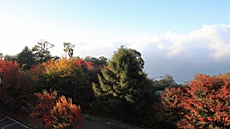 IMG_5084.JPG