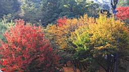 IMG_5088.JPG