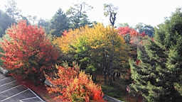 IMG_5100.JPG