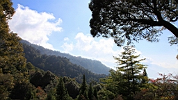 IMG_5116.JPG