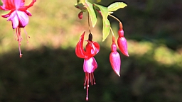 IMG_5117.JPG