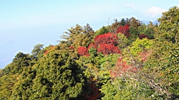 IMG_5142.JPG