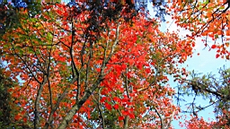 IMG_5147.JPG