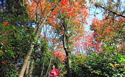 IMG_5148.JPG