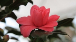 IMG_5355.JPG