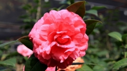 IMG_5395.JPG